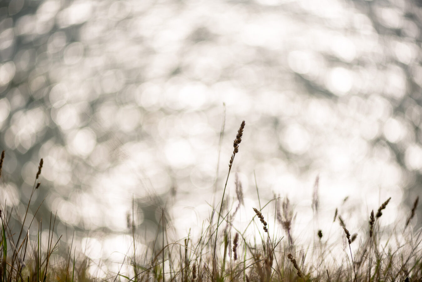 Perdu dans un bokeh d’océan